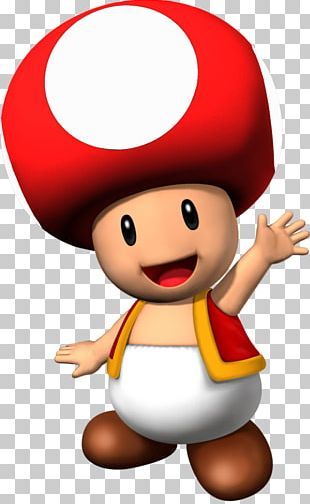 Toad